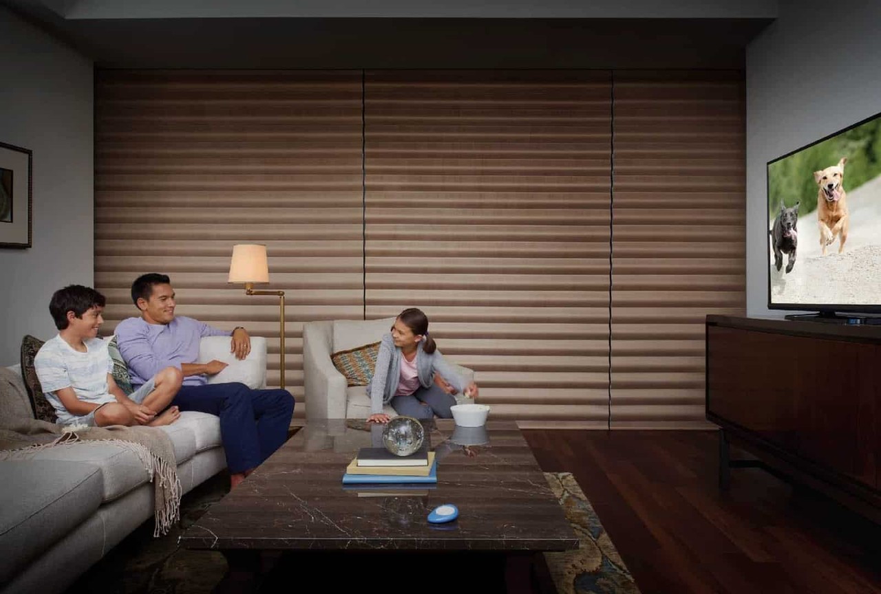 Custom Hunter Douglas Blackout Shades for Homes near Canyon, Texas (TX) for Living Rooms