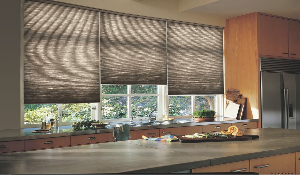 Hunter Douglas Duette® Honeycomb Shades near Amarillo, Texas (TX) providing class and energy preservation.