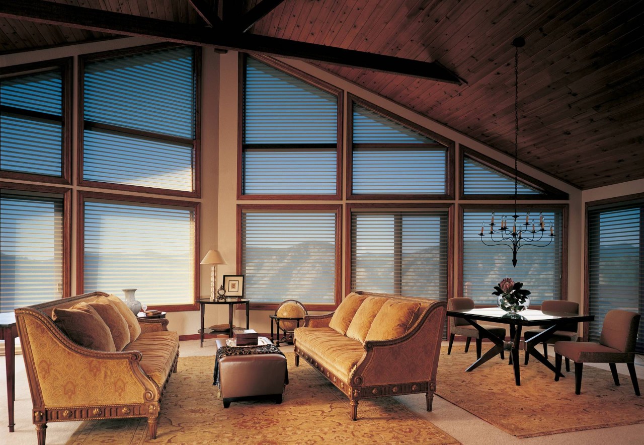 Hunter Douglas Silhouette® Sheer Shades near Amarillo, Texas (TX)